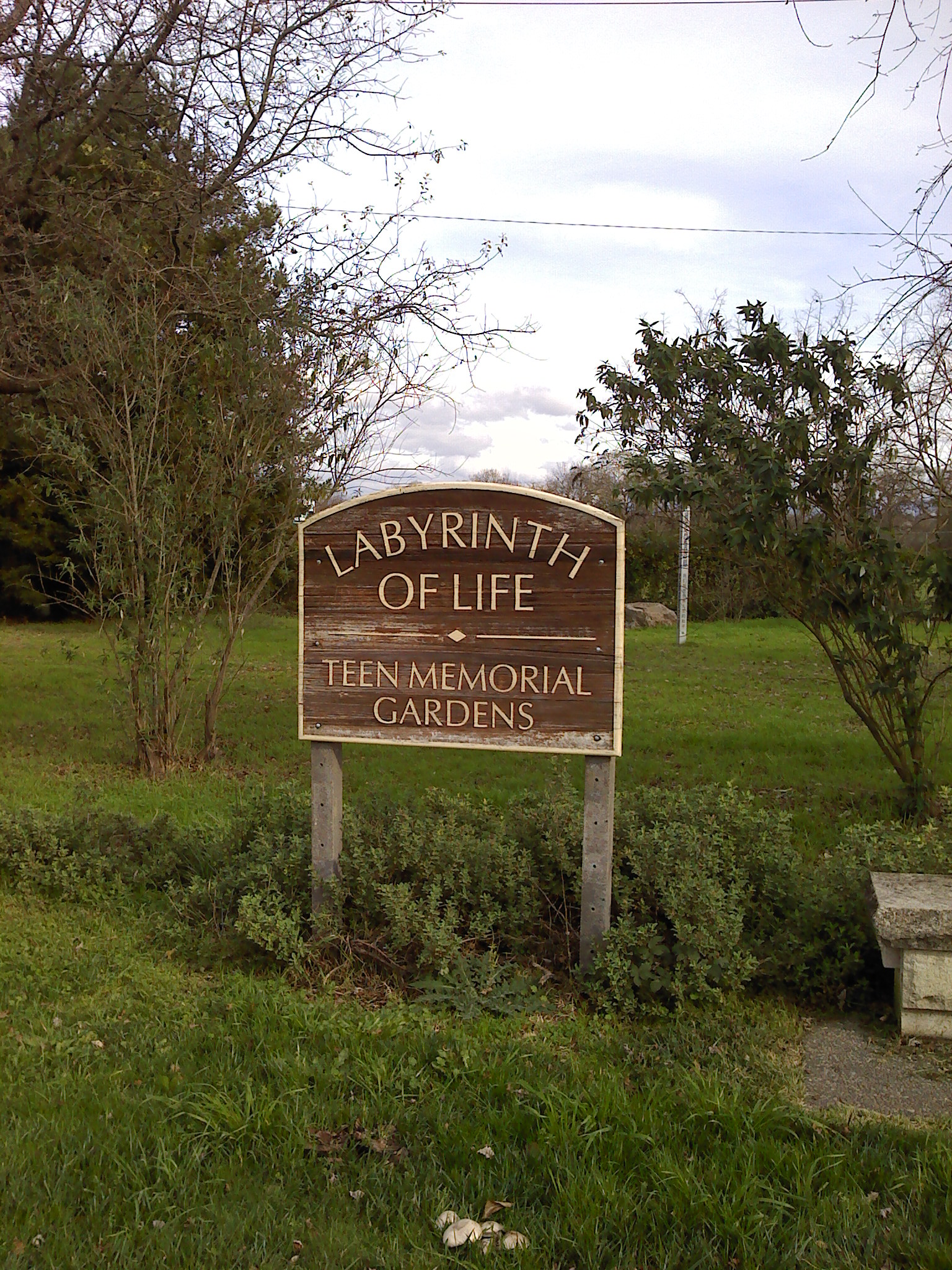 The Life Sign The Life Sign