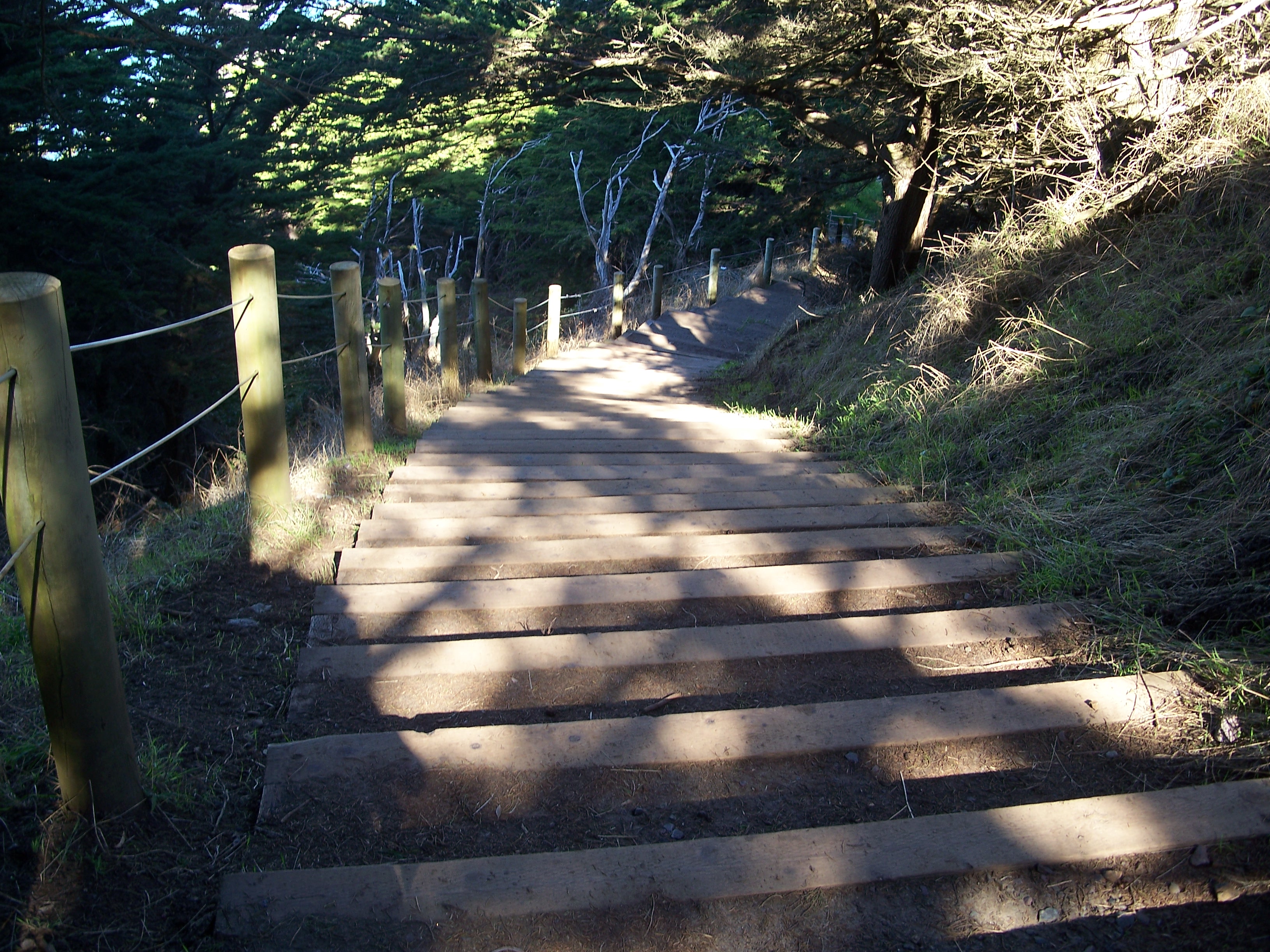 Long Stairs Long Stairs